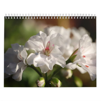 2008 Blumen-Foto-Kalender Kalender