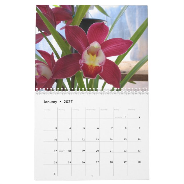 2008 ein Jahr der Orchideen Kalender (Jan 2027)