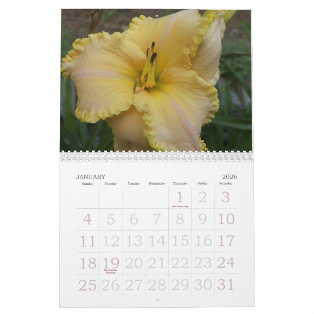 2008 Taglilie-Kalender - besonders angefertigt Kalender (Jan 2026)
