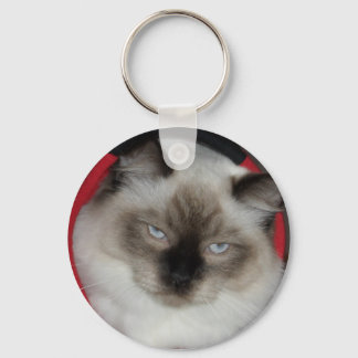 2009_1209051 SCHLÜSSELANHÄNGER