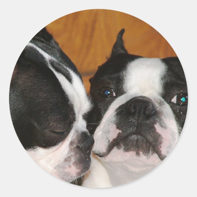 2009-Cover Runder Aufkleber (Vorderseite)