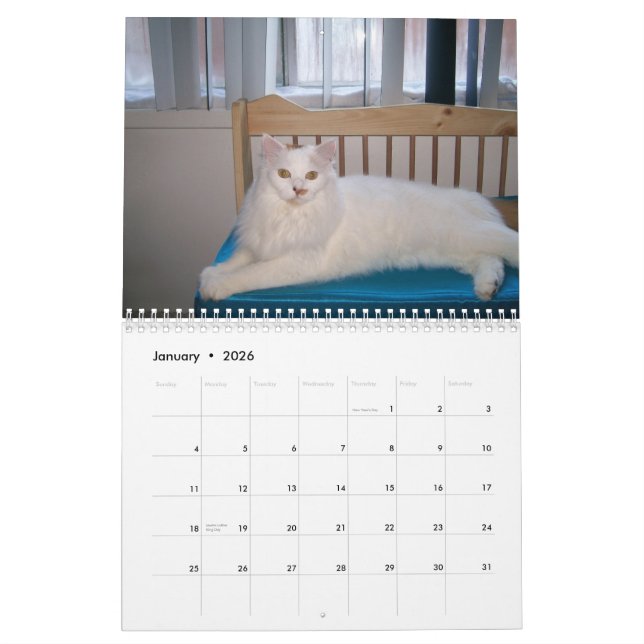 2009 den wilden Katzen-Kalender Feral Soul Inc. Kalender (Jan 2026)