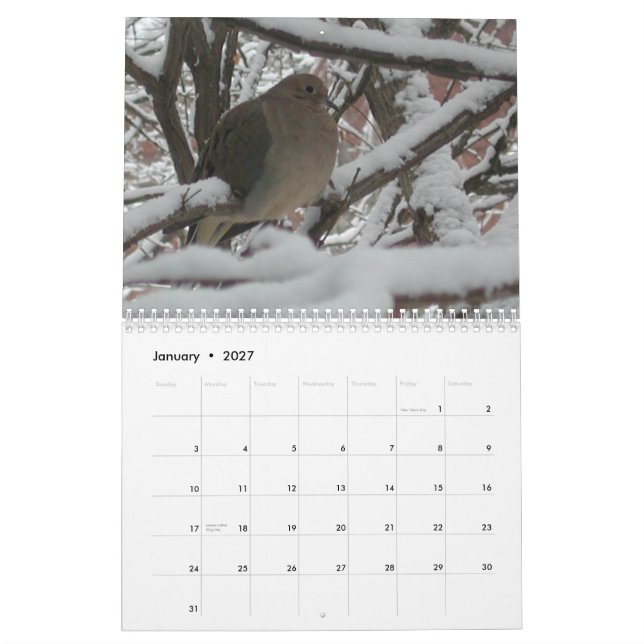 2009 der Garten-" Kalender "des Homosexuellen (Jan 2027)