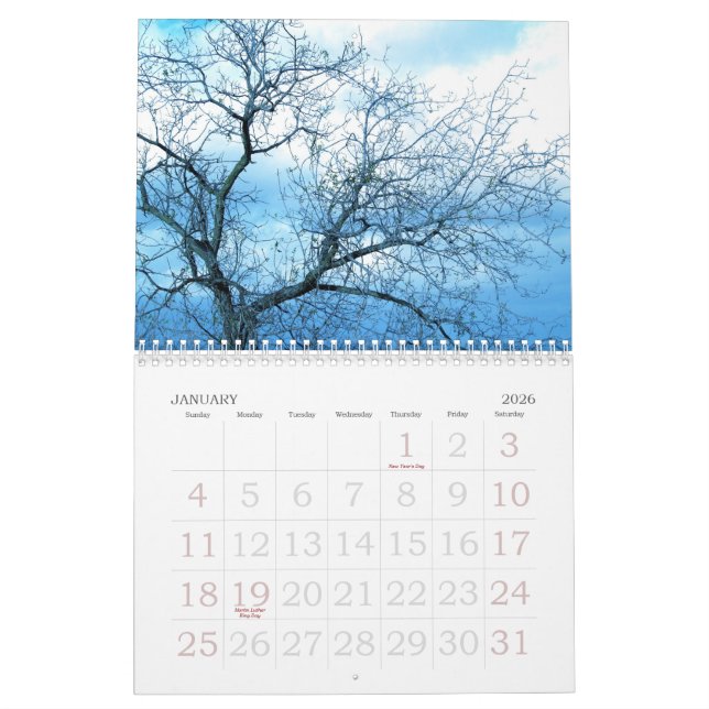 2009 durch wenig graues Pixel Kalender (Jan 2026)