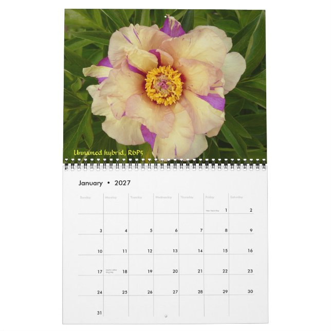 2009 Internationaler Peonkalender - Maßgeschneider Kalender (Jan 2027)
