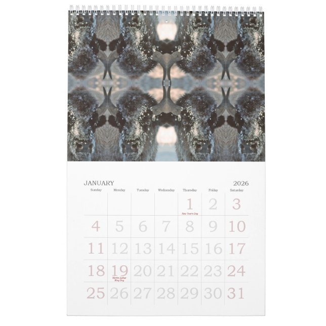 2009 Kaleidoskop-Kalender Kalender (Jan 2026)