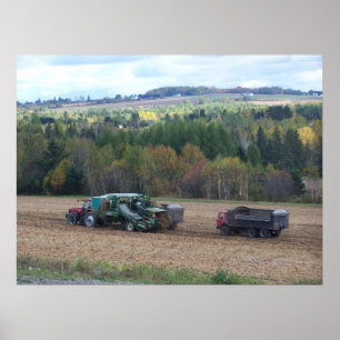 2009_Maine_Herbst_169 Poster