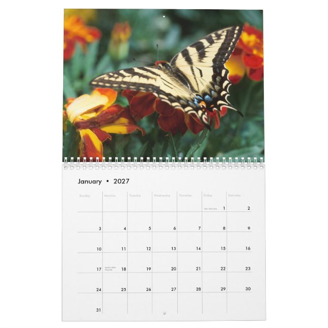 2009 Schmetterlings-Kalender Kalender (Jan 2027)