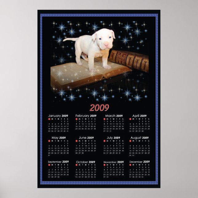 2009 Wall Poster Kalender von Luna (Vorne)