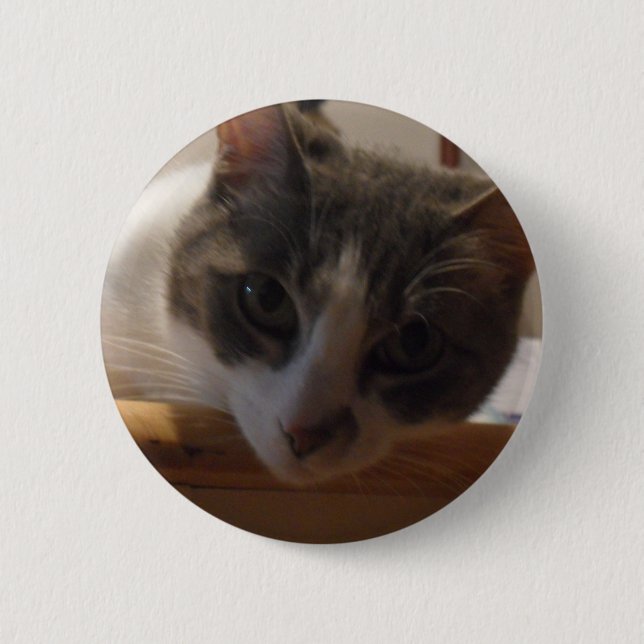 2010_04020026 BUTTON (Vorderseite)