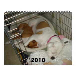 2010 Amerikaner-Bulldoggen-Kalender Kalender