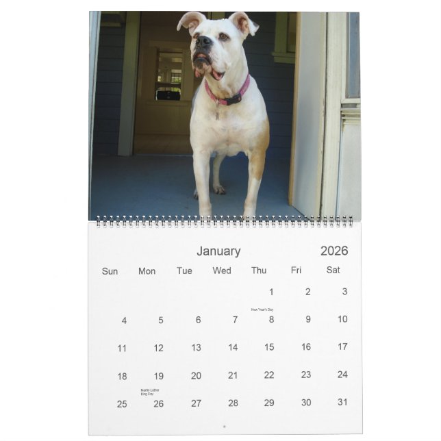 2010 Amerikaner-Bulldoggen-Kalender Kalender (Jan 2026)
