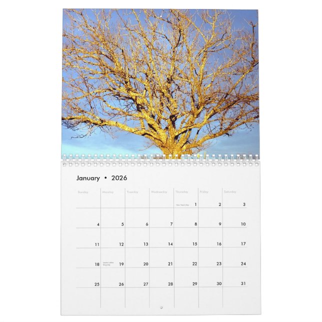 2010 Bauernhof-Kalender Kalender (Jan 2026)