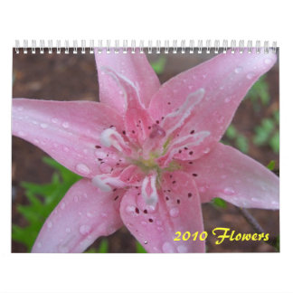 2010 Blumen Kalender