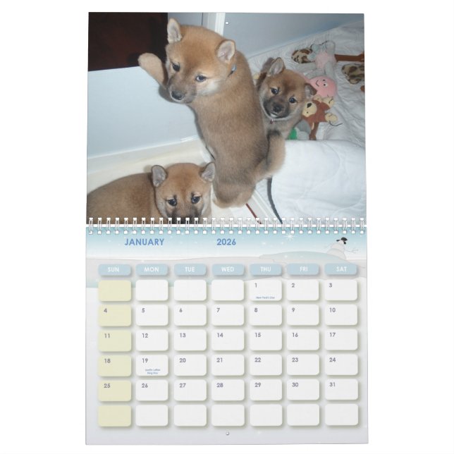 2010 das Jahr des Shiba Kalender (Jan 2026)