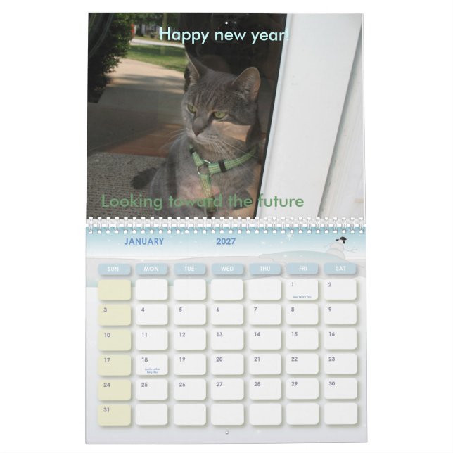 2010: Ein Jahr mit Katzen Kalender (Jan 2027)