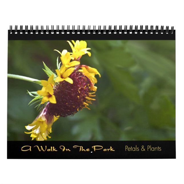 2010 Kalender - ein Weg im Park (Titelbild)