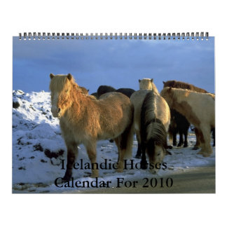2010 Kalender-isländisches Pferdethema Kalender