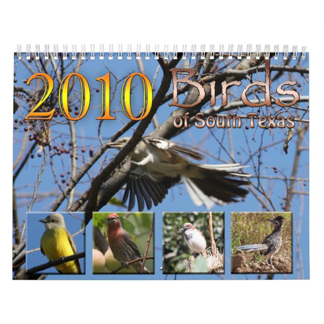 2010 Kalender-Vögel Südtexas Kalender (Titelbild)