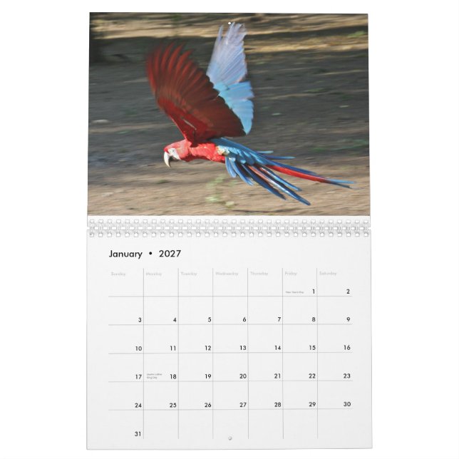2010 Kalender, Vögel von Brasilien Kalender (Jan 2027)