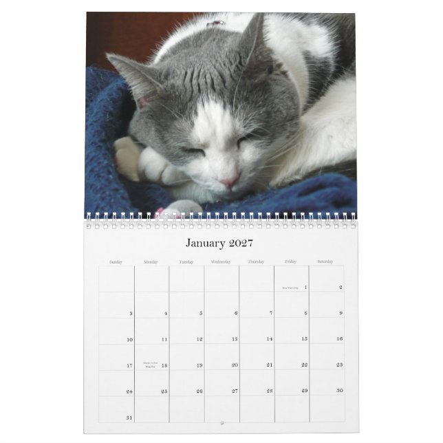2010 mit Guru-Bauch Kalender (Jan 2027)