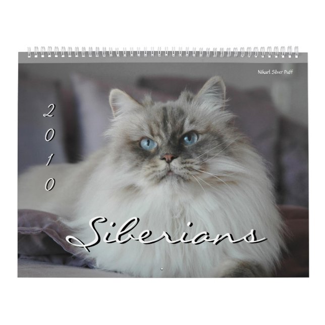 2010 Sibirians Cats & Kittens Kalender 3 (Titelbild)