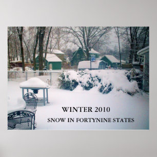 2010, SNOW IN FORTYNINE STAATEN Poster