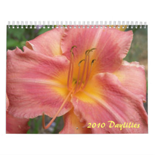 2010 Taglilien Kalender