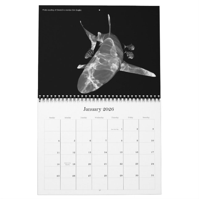 2010 TauchkalenderEin Unterwasser-Foto Kalender (Jan 2026)