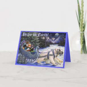 2010XMASCatCard, Weltfrieden! Feiertagskarte