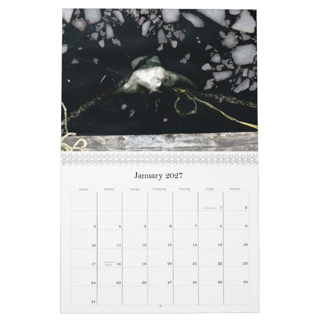 2011, 12 Monate beunruhigende Bilder durch Y… Kalender (Jan 2027)