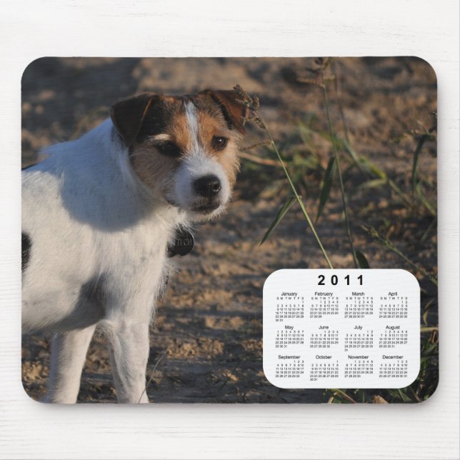 2011 Dog Calendar - Parson Jack Russell Terrier Mousepad (Vorne)