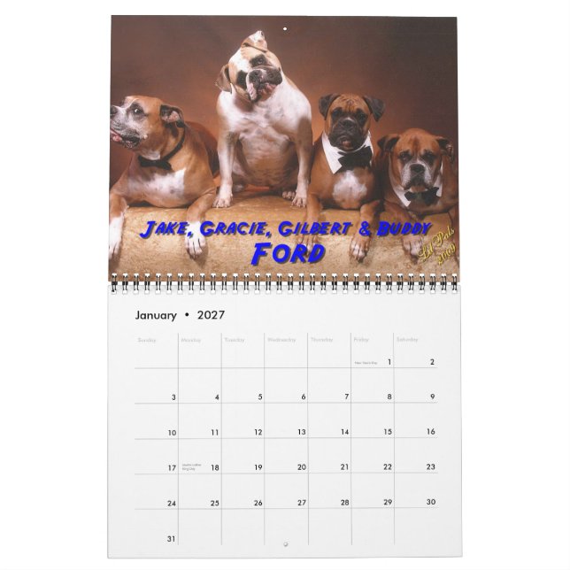 2011 Haustiere Hunne Kalender (Jan 2027)