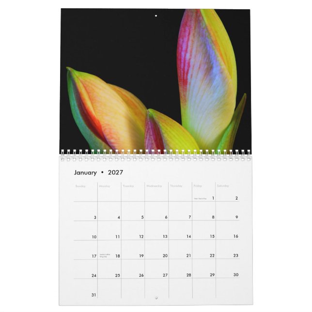 2011 Kalender - Blumen (Jan 2027)