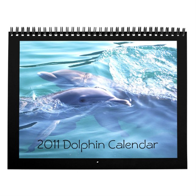 2011 Kalender-Delphin-Fotografie Kalender (Titelbild)