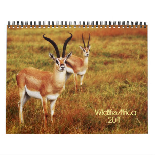 2011 Kalender - wild lebende Tiere Afrika