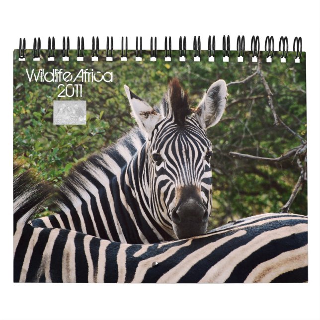 2011 Kalender - wild lebende Tiere Afrika - klein (Titelbild)
