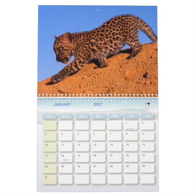 2011 Leopard-Kalender Kalender (Jan 2027)