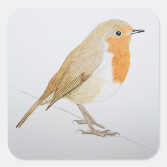 2011 QUADRATISCHER AUFKLEBER (Vorderseite)