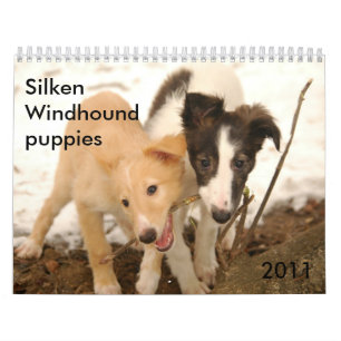 2011 seidene Windhound Welpen Kalender