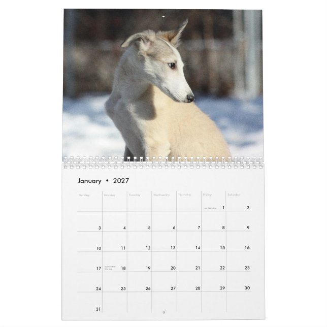 2011 seidene Windhound Welpen Kalender (Jan 2027)