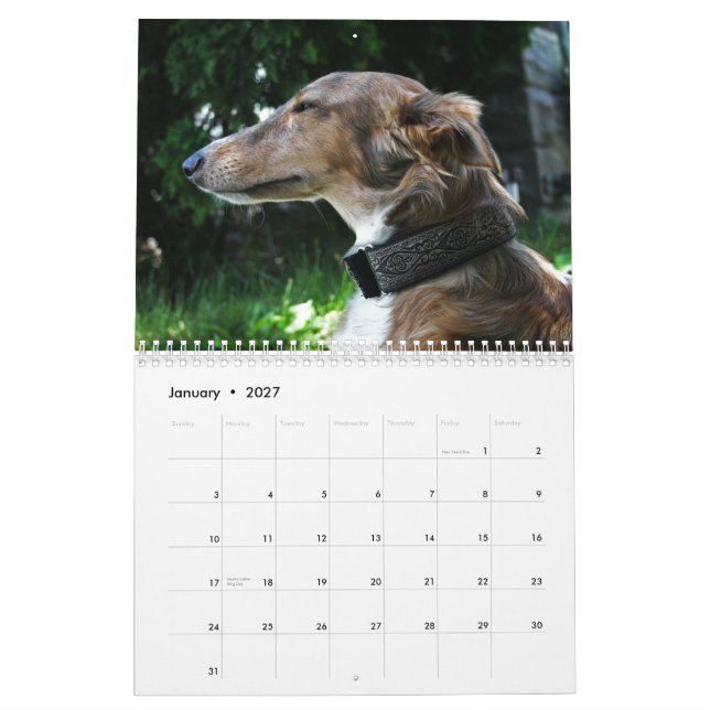 2011 seidenes Windhounds 2011 (Erwachsene) Kalender (Jan 2027)