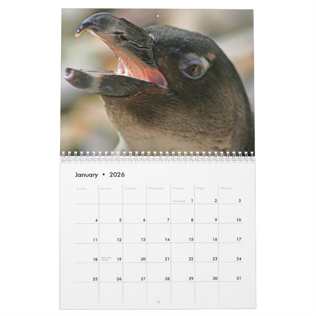 2011 Tier-Kalender hergestellt durch Aremac Kalender (Jan 2026)