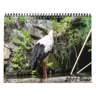 2011 Vögel Kalender