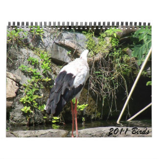 2011 Vögel Kalender