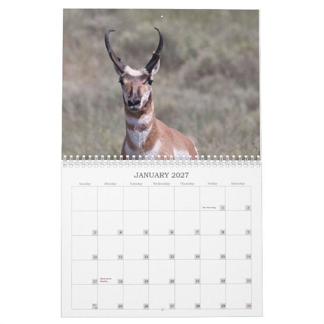 2012 Brunnen-Ranch Kalender (Jan 2027)
