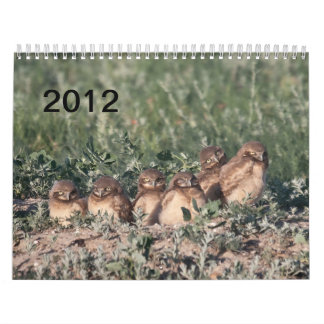 2012 grabende Eulen Kalender