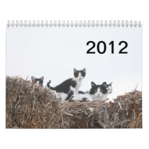 2012 Kätzchen Brunnen-Ranch Kalender