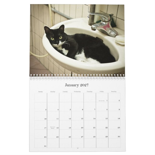 2012 niedliche Katzen Kalender (Jan 2027)