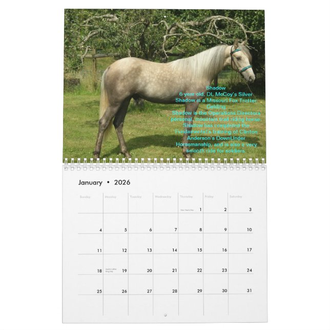 2012 RTR Pferdekalender Kalender (Jan 2026)